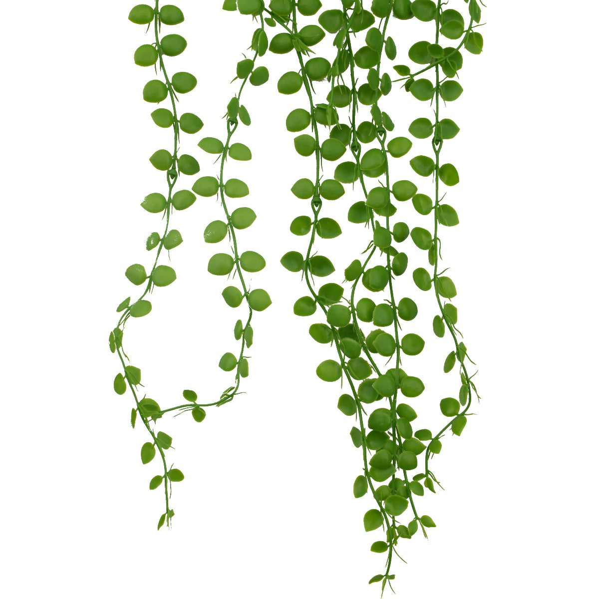 A 90 cm long artificial Hanging Pearls succulent with realistic trailing vines and leaves, perfect for home decor.