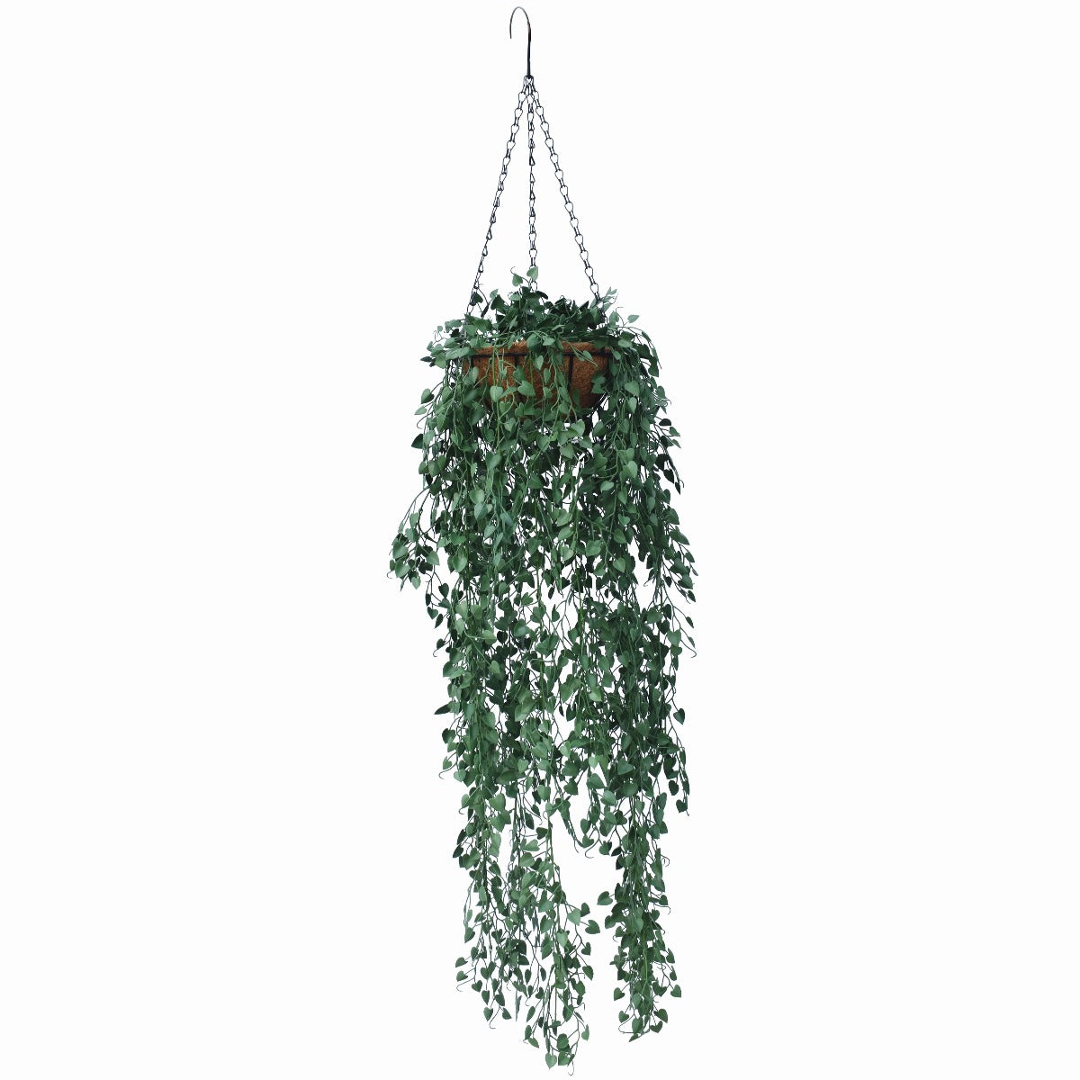 A beautiful Hanging Petal Basket featuring heart-shaped leaves and vibrant foliage, nestled in a coconut liner with a hanging chain.