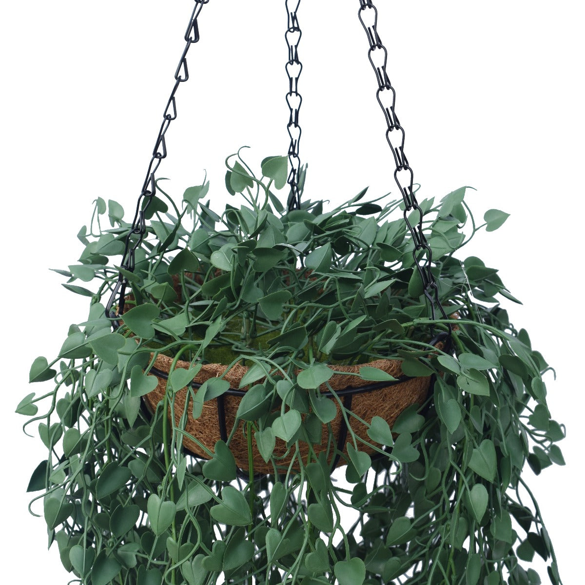 A beautiful Hanging Petal Basket featuring heart-shaped leaves and vibrant foliage, nestled in a coconut liner with a hanging chain.