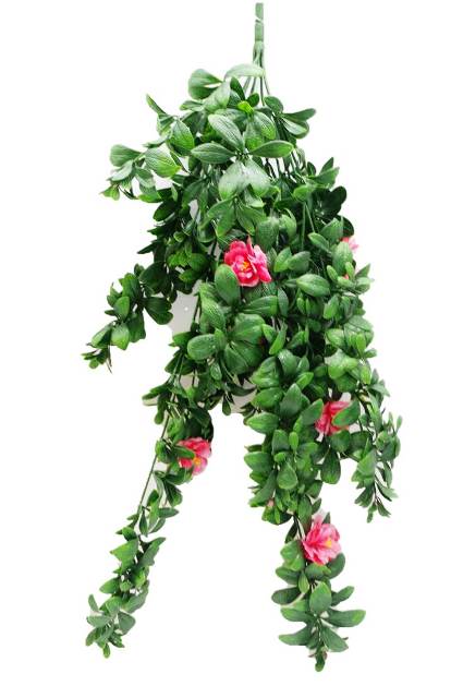 A vibrant Hanging Pink Rose Stem UV measuring 85cm with multiple pink blooms and lush green leaves, perfect for decor.