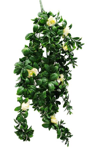 A beautiful 85cm hanging white rose stem with vibrant green leaves, perfect for decoration.