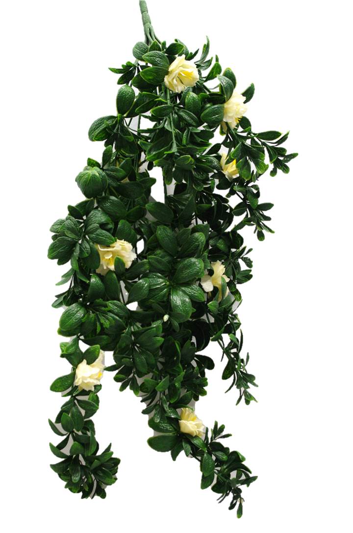 A beautiful 85cm hanging white rose stem with vibrant green leaves, perfect for decoration.