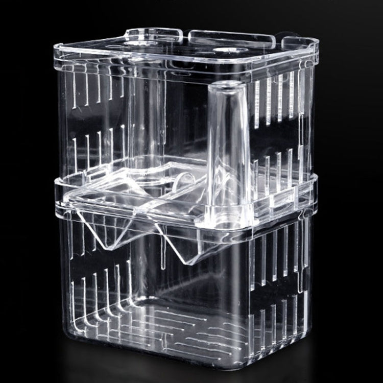 Large Peacock Fish Double Layer Transparent Breeding Isolation Box with suction cup mount, showcasing its crystal-clear design and double-layer structure.