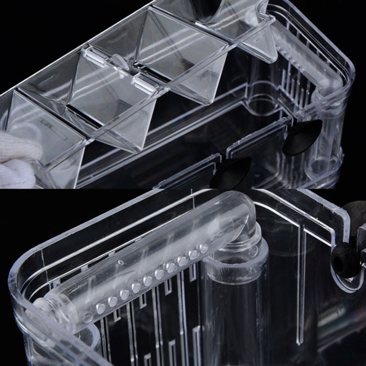 Large Peacock Fish Double Layer Transparent Breeding Isolation Box with suction cup mount, showcasing its crystal-clear design and double-layer structure.