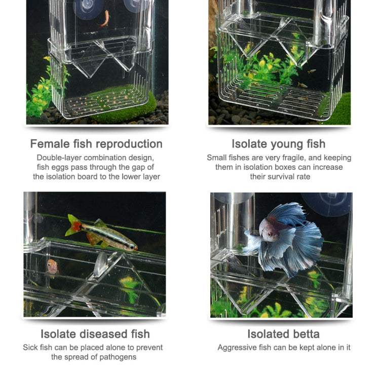 Large Peacock Fish Double Layer Transparent Breeding Isolation Box with suction cup mount, showcasing its crystal-clear design and double-layer structure.