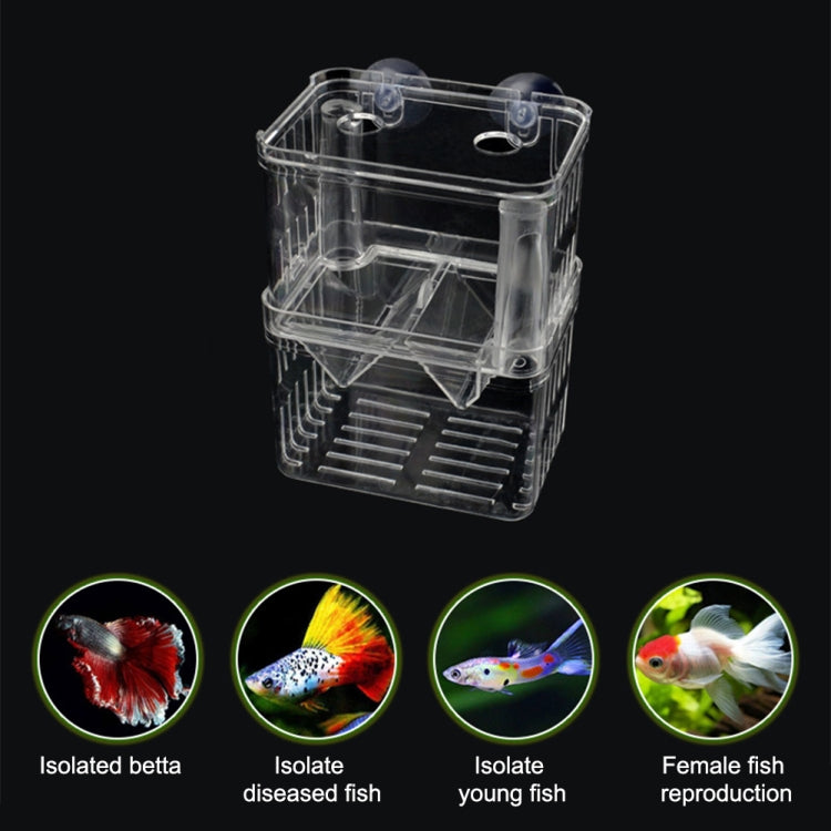 Large Peacock Fish Double Layer Transparent Breeding Isolation Box with suction cup mount, showcasing its crystal-clear design and double-layer structure.