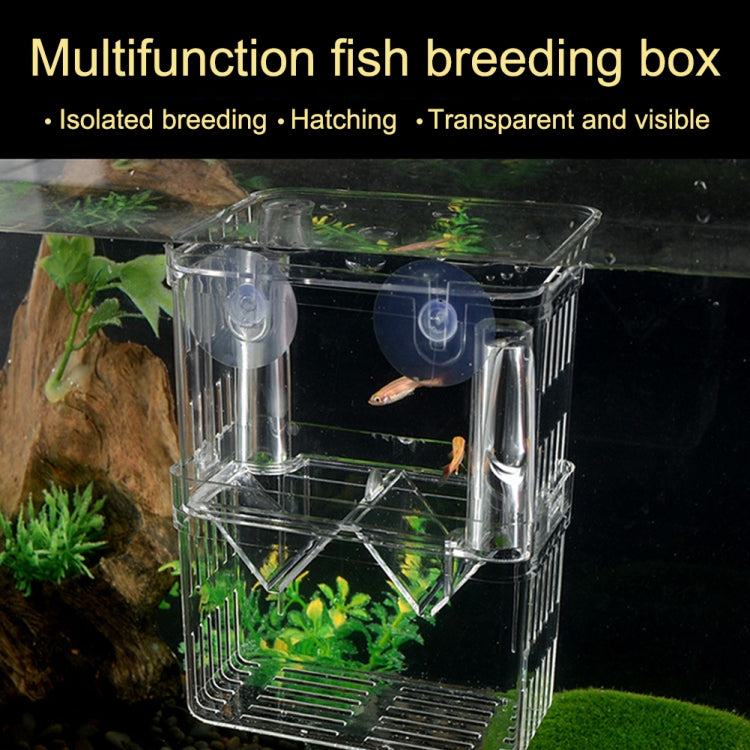 Large Peacock Fish Double Layer Transparent Breeding Isolation Box with suction cup mount, showcasing its crystal-clear design and double-layer structure.