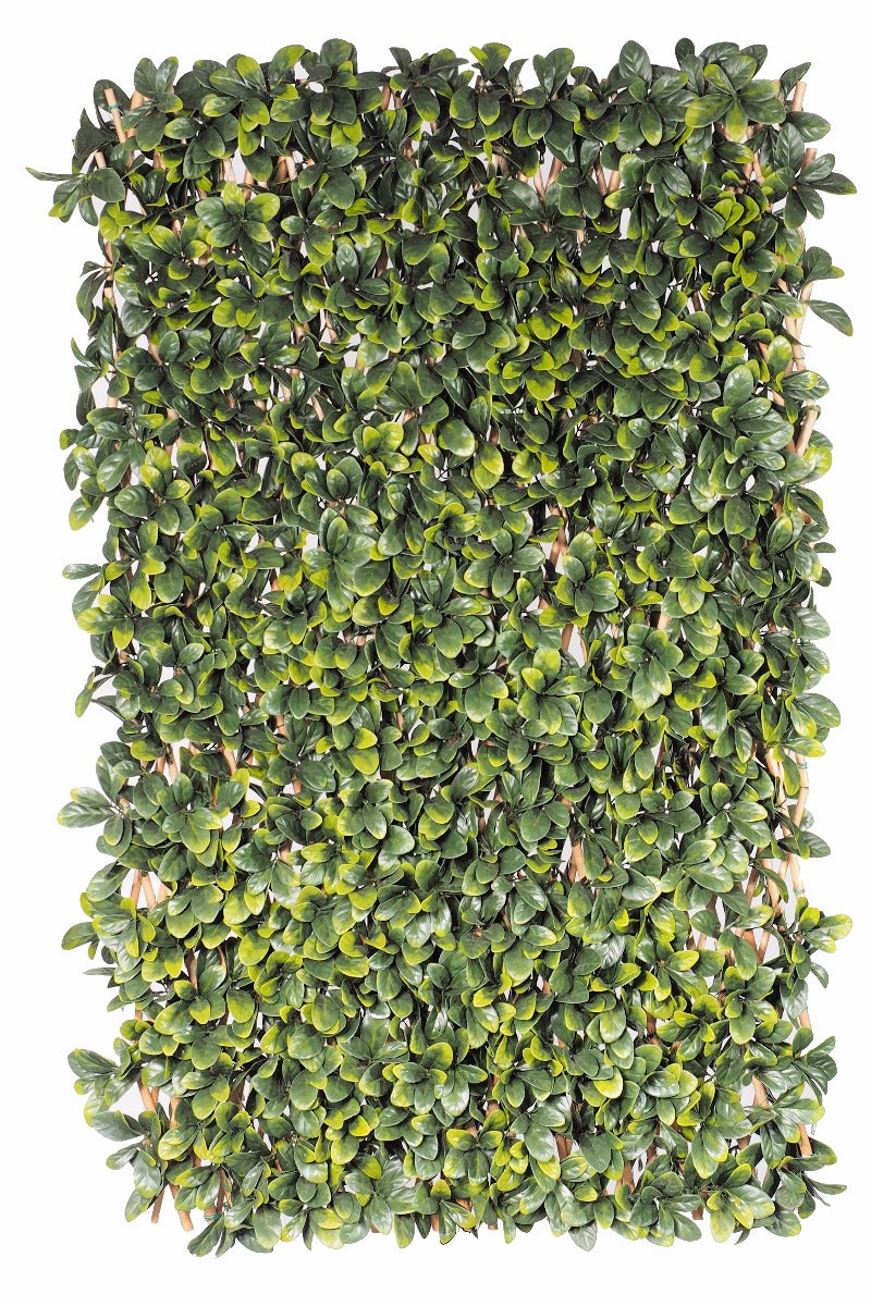 Laurel Hedge Extendable Light Timber Trellis showcasing realistic artificial laurel leaves on a sturdy timber frame, perfect for enhancing outdoor spaces.