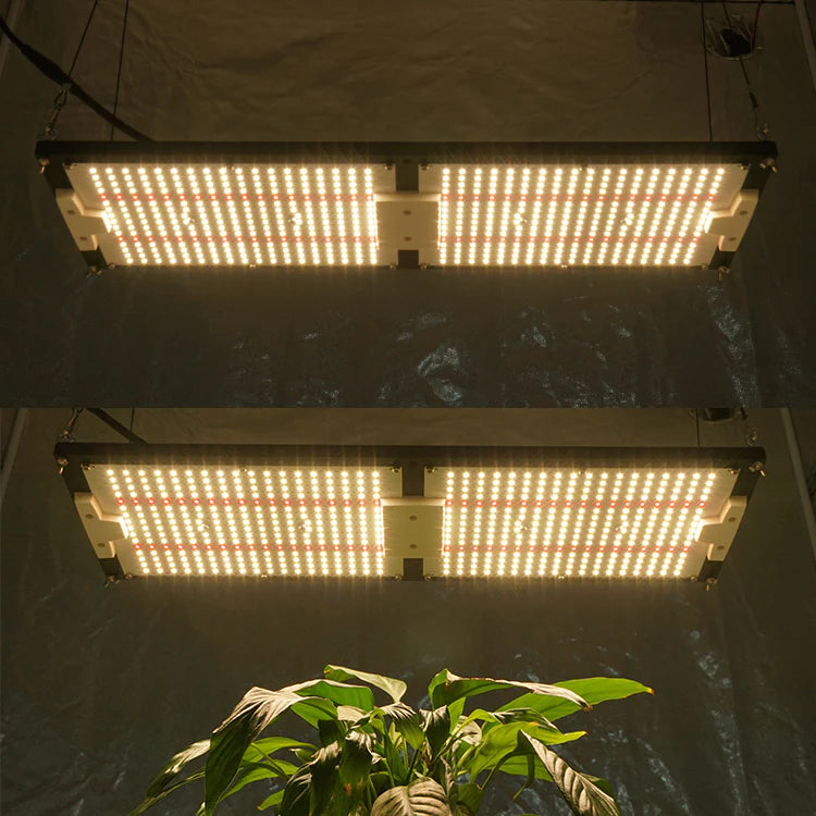 MasonBrite StealthGrow 240W Full Spectrum LED grow light designed for 4x2 grow tents, featuring a waterproof design and Samsung technology.