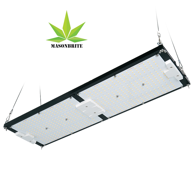 MasonBrite StealthGrow 240W Full Spectrum LED grow light designed for 4x2 grow tents, showcasing its waterproof and efficient features.