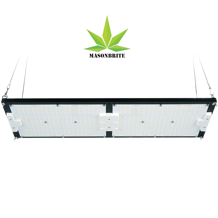 MasonBrite StealthGrow 240W Full Spectrum LED grow light designed for 4x2 grow tents, showcasing its waterproof and efficient features.