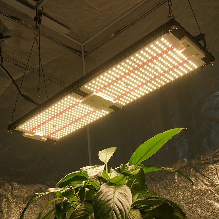 MasonBrite StealthGrow 240W Full Spectrum LED grow light designed for 4x2 grow tents, showcasing its waterproof and efficient features.