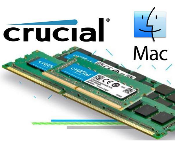 Crucial 8GB DDR3 SODIMM RAM module designed for Mac systems, featuring a sleek design and high-performance specifications.