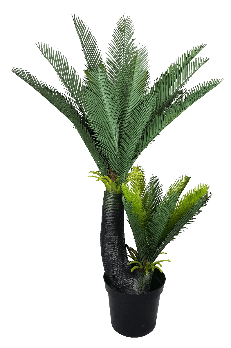 A realistic 130cm Multi Trunk Sago Cycad with wide trunks and long spiky leaves, perfect for indoor decoration.