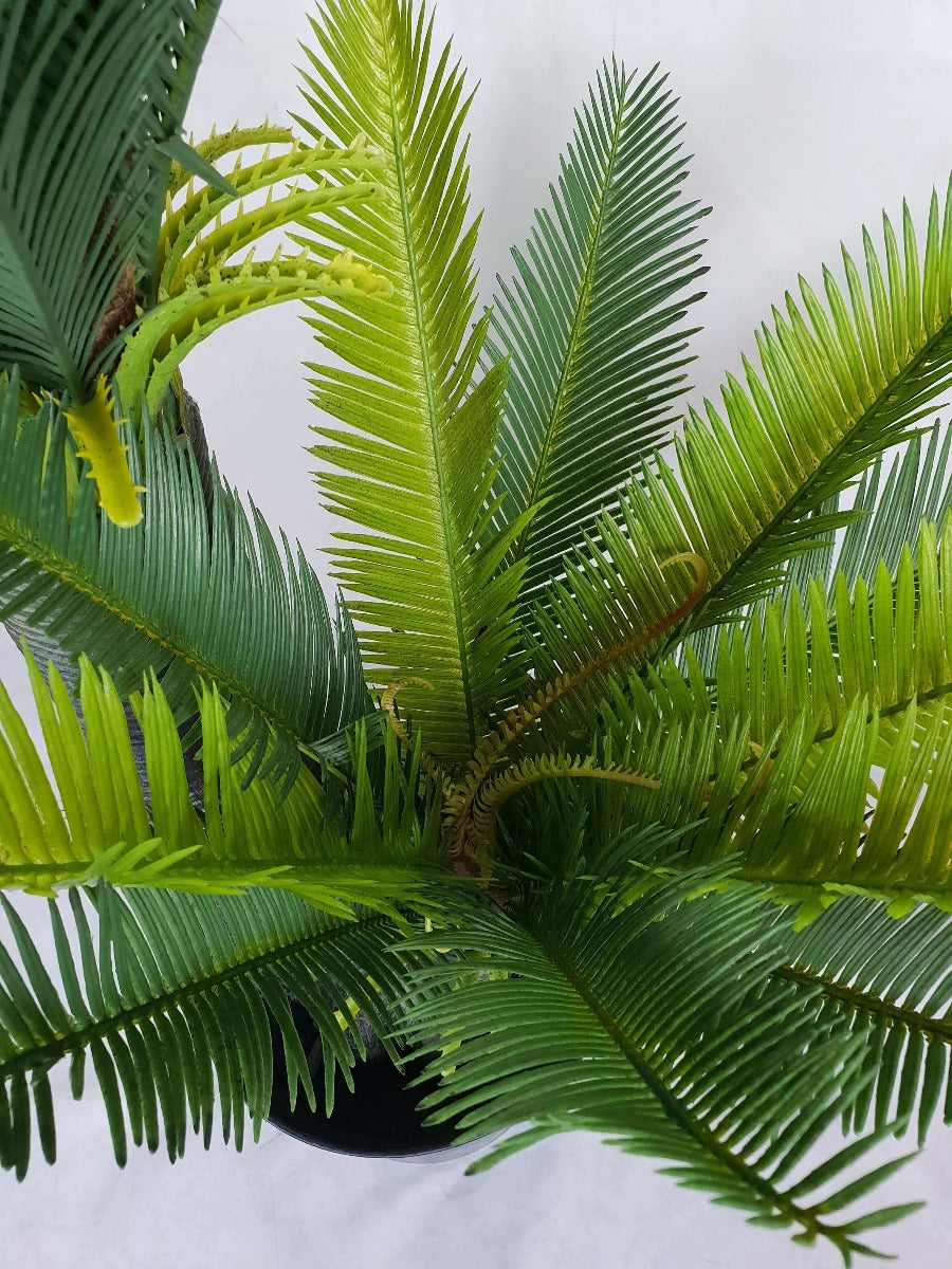 A realistic 130cm Multi Trunk Sago Cycad with wide trunks and long spiky leaves, perfect for indoor decoration.