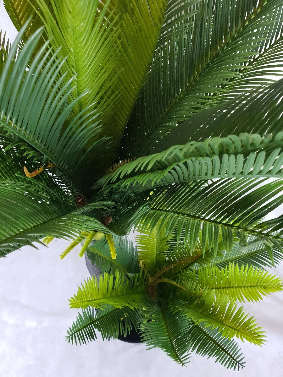 A realistic 130cm Multi Trunk Sago Cycad with wide trunks and long spiky leaves, perfect for indoor decoration.