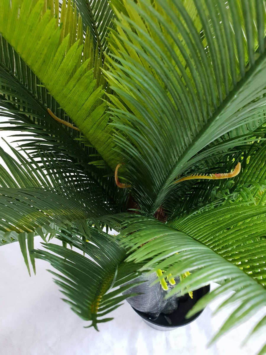 A realistic 130cm Multi Trunk Sago Cycad with wide trunks and long spiky leaves, perfect for indoor decoration.