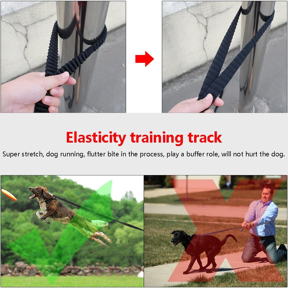 Nylon Dog Tracking Lead in black, featuring an elastic bungee design and non-slip strap, ideal for large dogs.