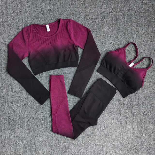 Ombre Women Yoga Set featuring a long sleeve crop top and sports bra in stylish ombre design, perfect for workouts and yoga.