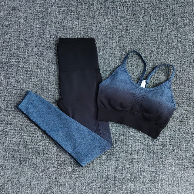 Ombre Women Yoga Set featuring a long sleeve crop top and sports bra in stylish ombre design, perfect for workouts and yoga.