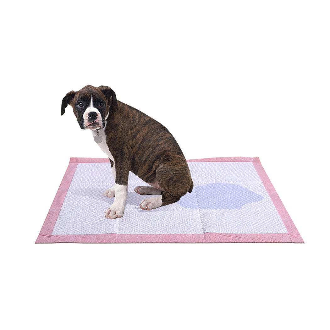 PaWz 100 Pcs absorbent pet puppy toilet training pads, featuring a soft non-woven fabric surface and a leakproof layer for effective training.