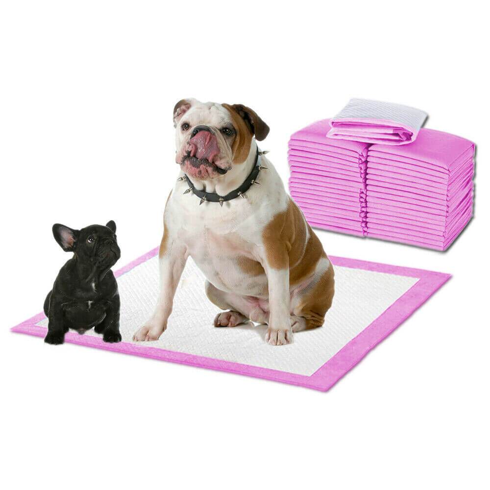 PaWz 100pcs puppy training pads in pink, 60x60cm, designed for indoor pet toilet training with high absorbency and leakproof features.