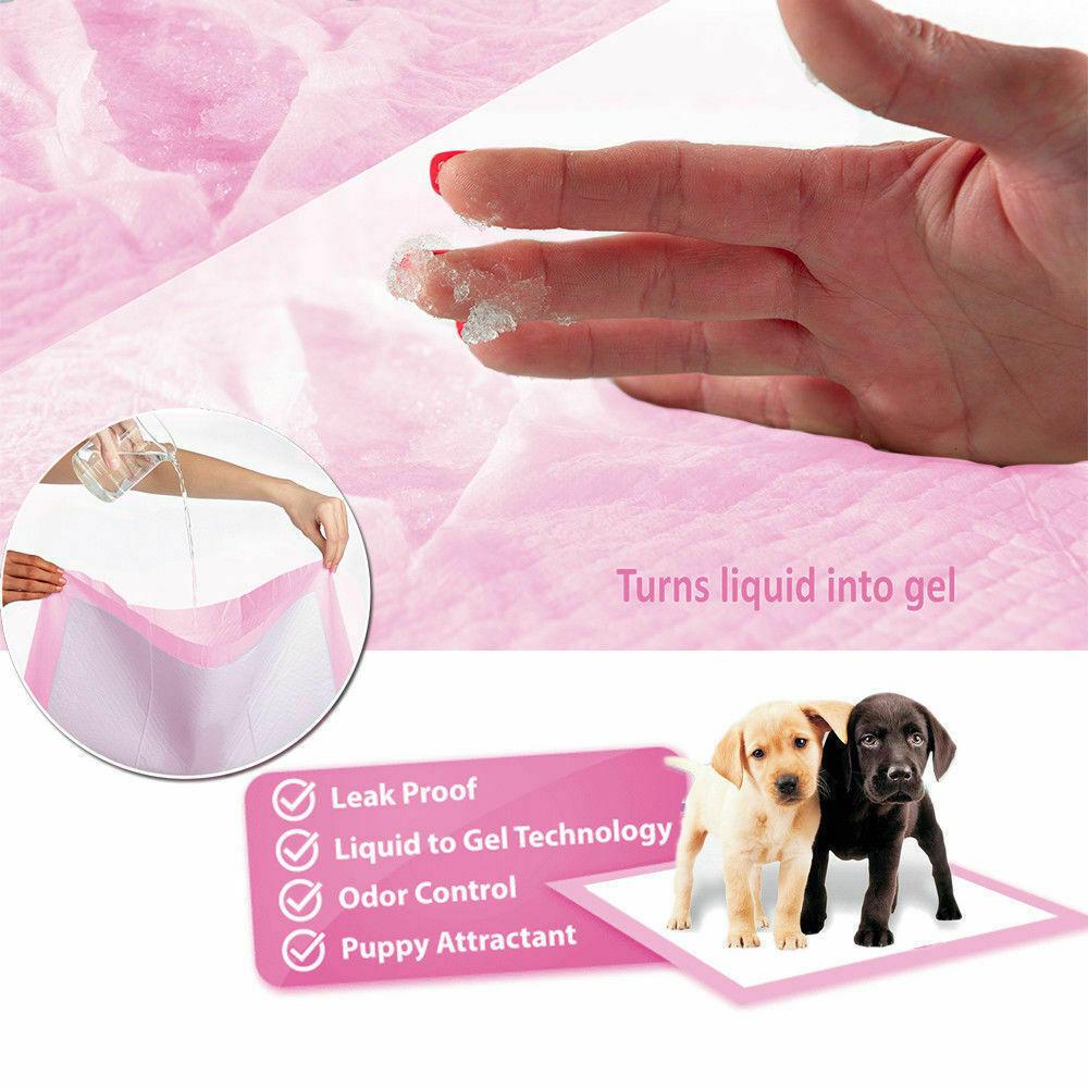 PaWz 100pcs puppy training pads in pink, 60x60cm, designed for indoor pet toilet training with high absorbency and leakproof features.