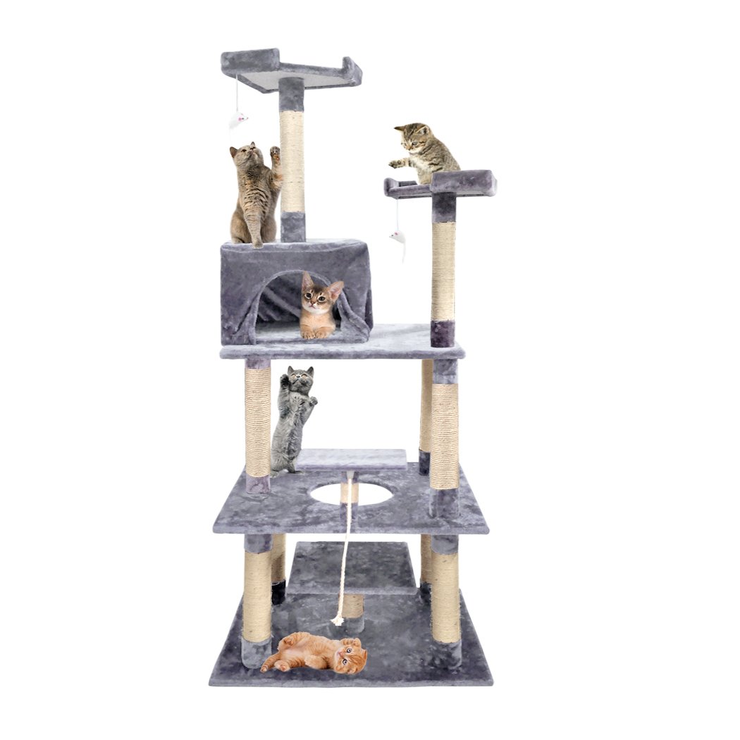 PaWz 2M Cat Scratching Post Tree featuring plush velvet cover and natural sisal posts, designed for indoor use and suitable for all cat sizes.