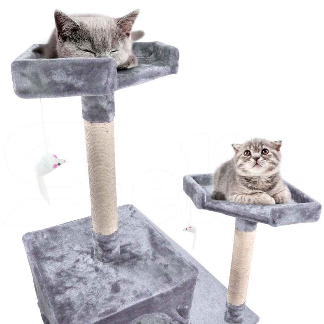 PaWz 2M Cat Scratching Post Tree featuring plush velvet cover and natural sisal posts, designed for indoor use and suitable for all cat sizes.