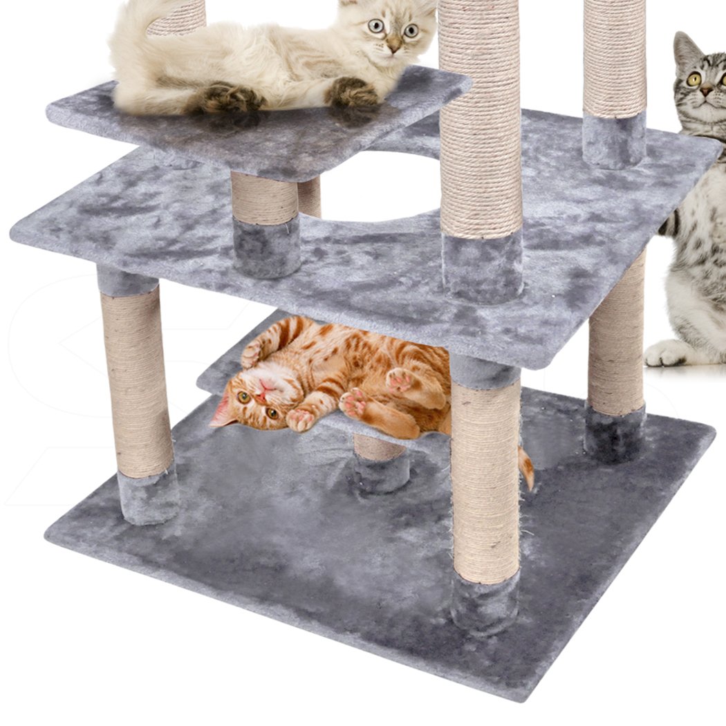 PaWz 2M Cat Scratching Post Tree featuring plush velvet cover and natural sisal posts, designed for indoor use and suitable for all cat sizes.