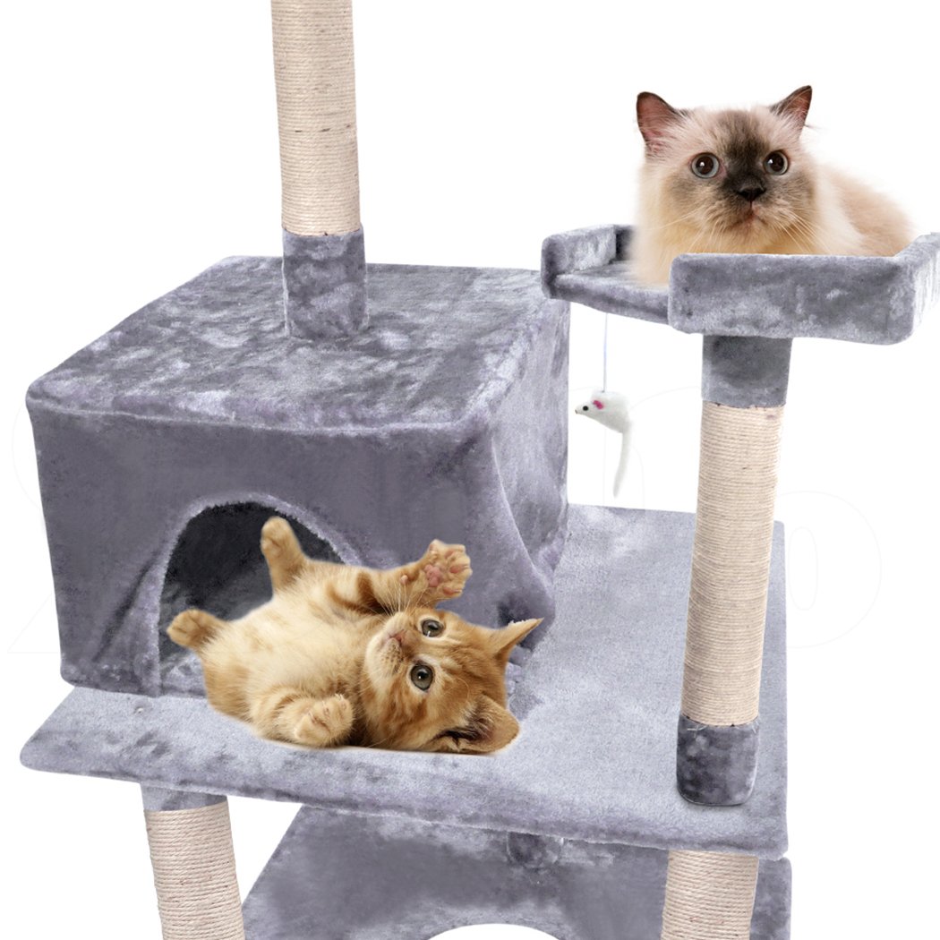 PaWz 2M Cat Scratching Post Tree featuring plush velvet cover and natural sisal posts, designed for indoor use and suitable for all cat sizes.