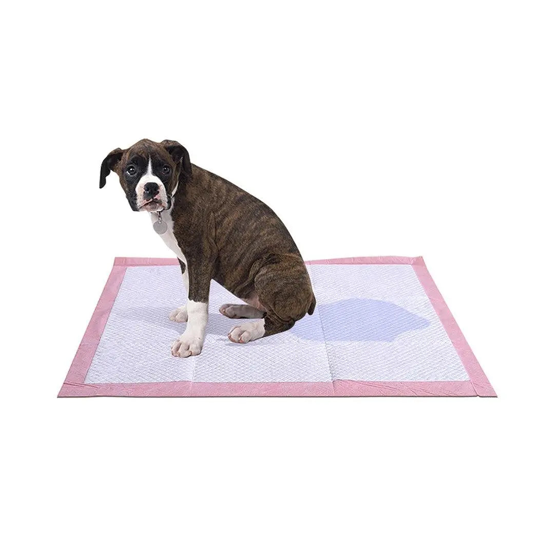 PaWz 50 Pcs 60x60 cm Pet Puppy Toilet Training Pads in lavender color, showcasing their absorbent and soft texture.