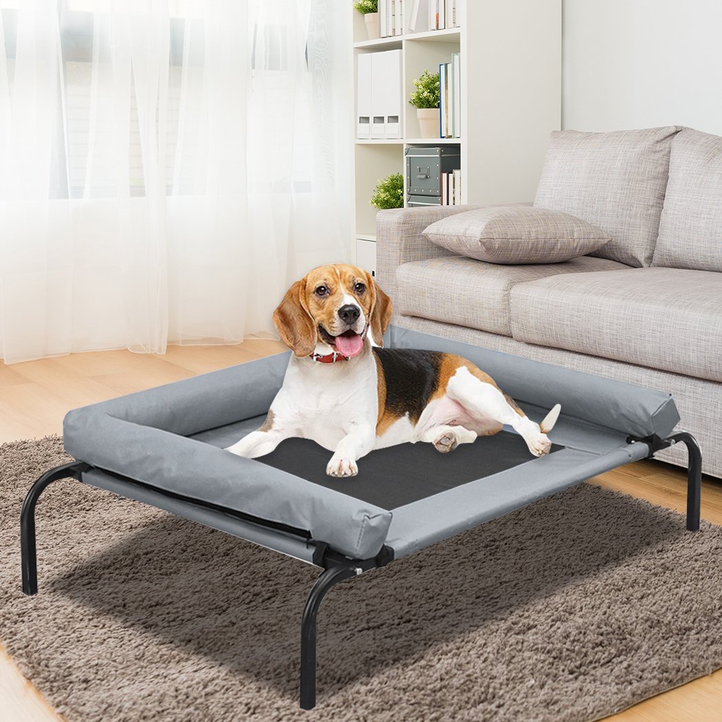 PaWz Heavy Duty Pet Bed featuring a sturdy steel frame and breathable mesh design, perfect for dogs and cats to relax comfortably.