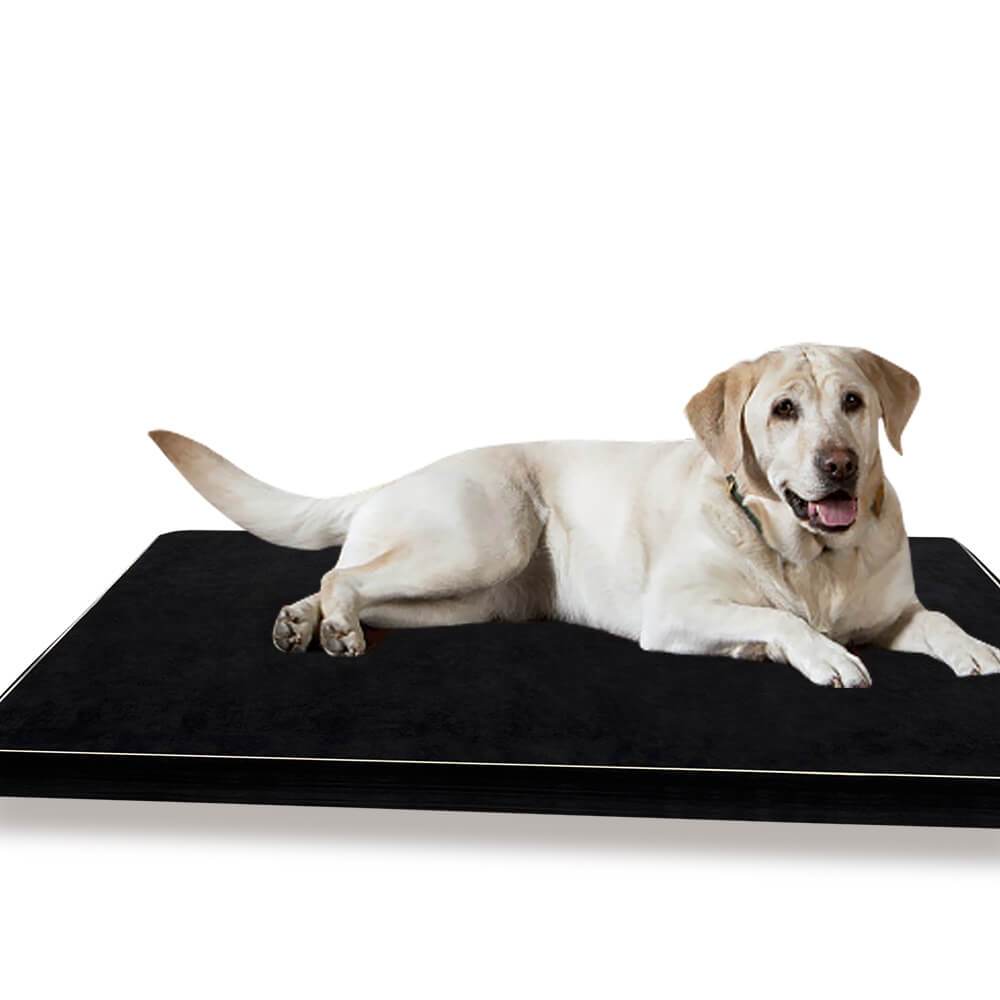 PaWz Pet Bed featuring a soft memory foam cushion with a removable black cover, designed for ultimate pet comfort.