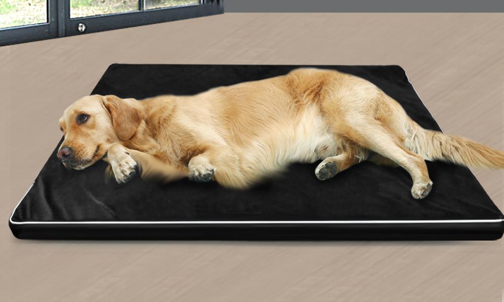 PaWz Pet Bed featuring a soft memory foam cushion with a removable black cover, designed for ultimate pet comfort.