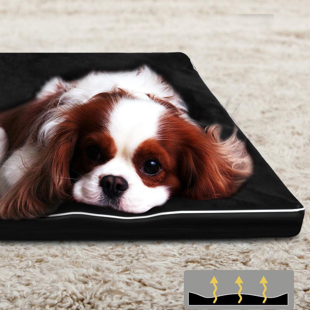 PaWz Pet Bed featuring a soft memory foam cushion with a removable black cover, designed for ultimate pet comfort.