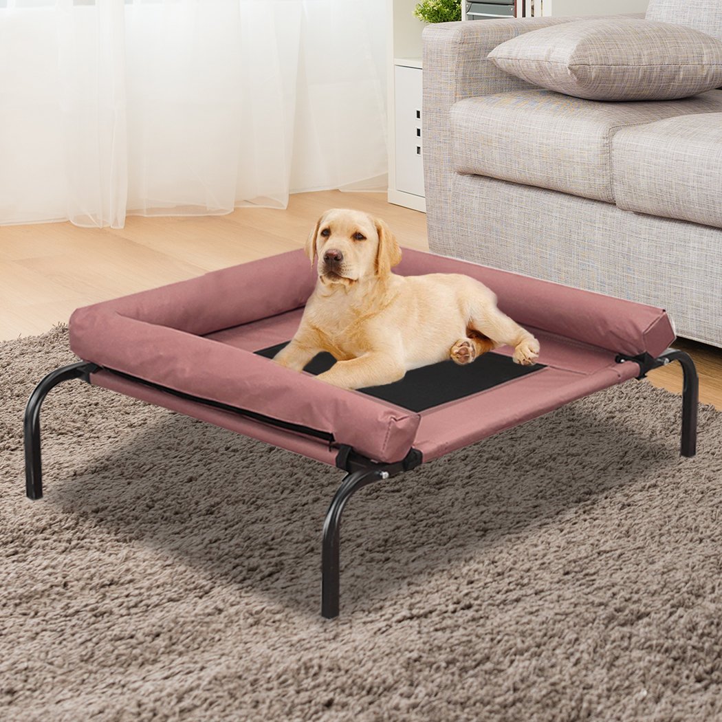 PaWz Pet Bed featuring a heavy-duty steel frame and removable bolster, designed for comfort and durability for dogs and puppies.