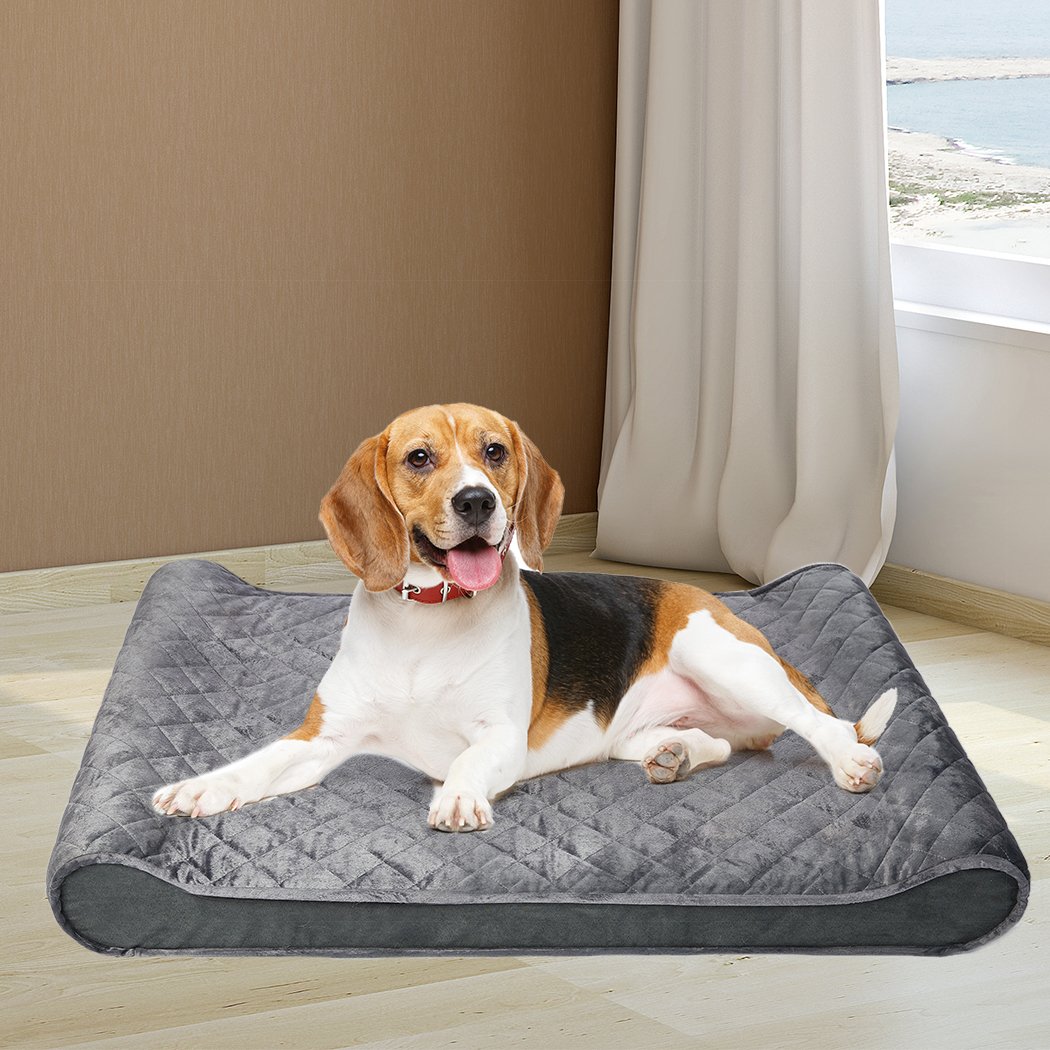 Pawz dog bed fashion