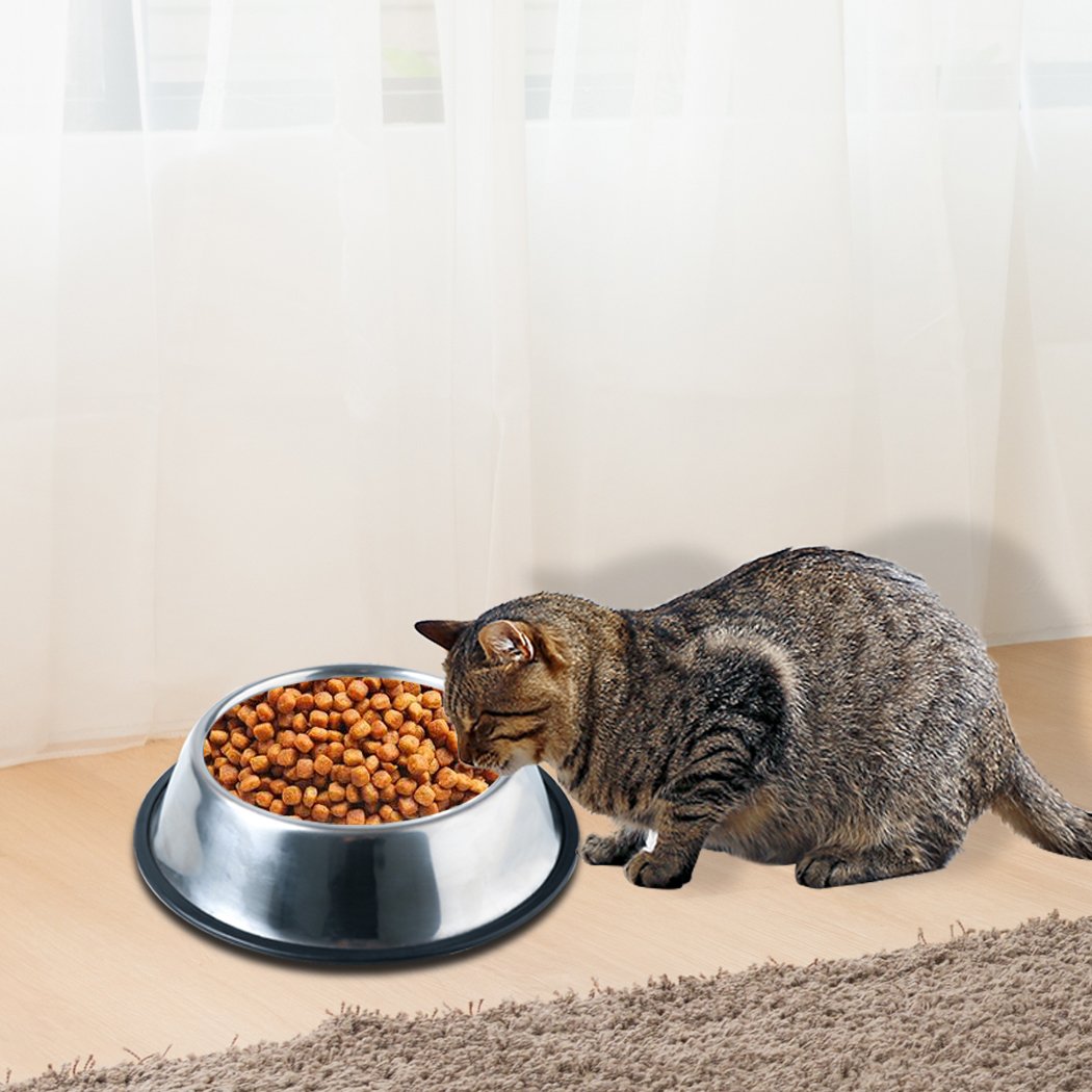 PaWz Pet Bowl made of stainless steel with anti-skid rubber edge, designed for dogs and cats, featuring a curved exterior to prevent tipping.