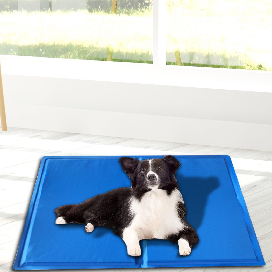 PaWz Pet Cooling Mat in blue, designed for pets to stay cool during hot weather, featuring a non-toxic gel surface.