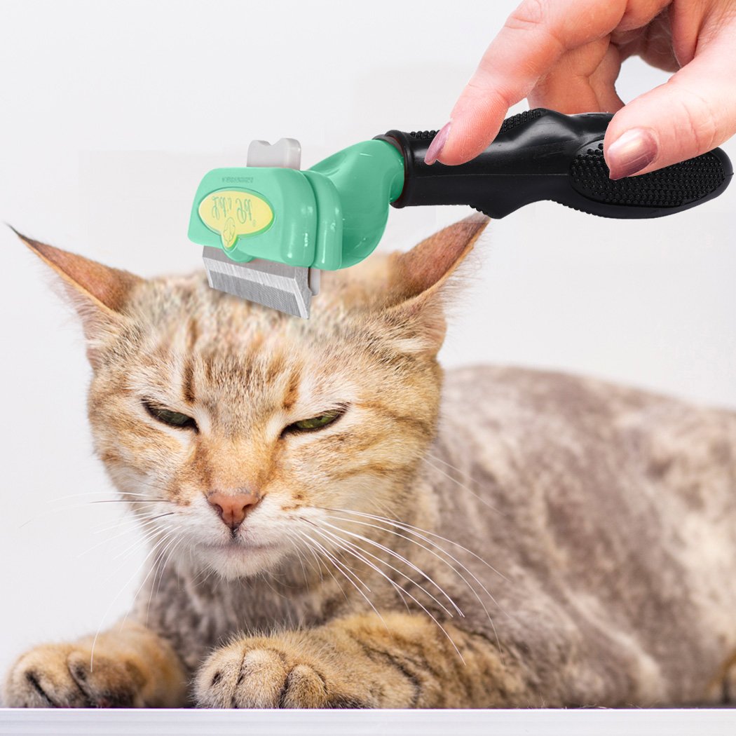 PaWz Pet Dog Cat Comb Massager Grooming Brush with stainless steel teeth and non-slip handle, designed for effective hair removal and grooming.