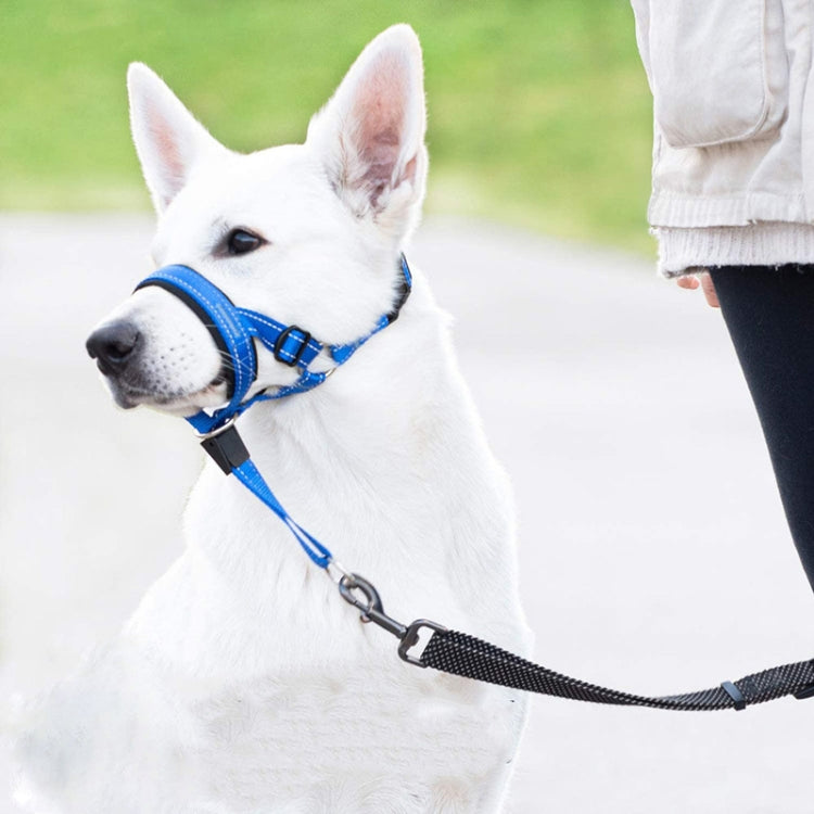 XL blue Pet Anti-Bite Leash Cover Riot Rush designed for dog safety, featuring a wide soft cushion and durable nylon braid material.