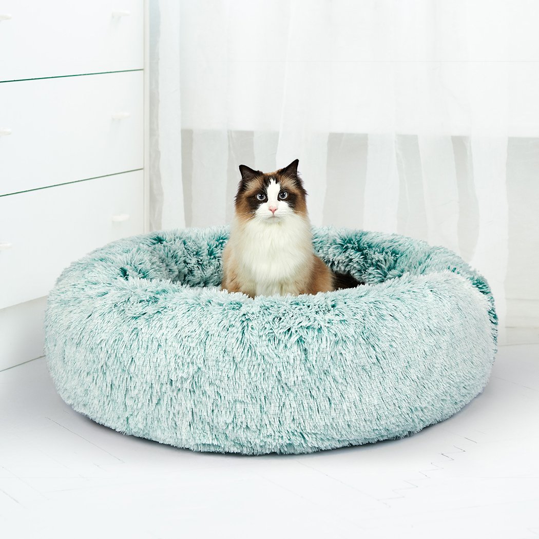 Teal XL donut-shaped pet bed with plush surface and raised rim, designed for dogs and cats to provide comfort and security.