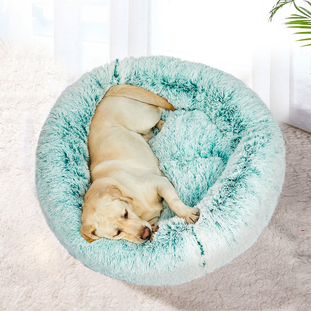 Teal donut-shaped pet bed with plush surface and raised rim, designed for dogs and cats to provide comfort and security.