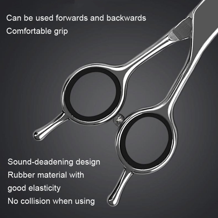 Set of stainless steel pet grooming scissors for dogs and cats, including straight, curved, and thinning shears.