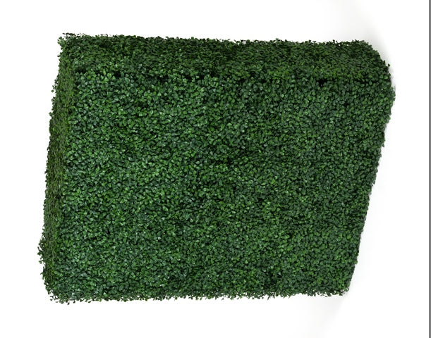 A lush, green Portable Boxwood Hedge measuring 75cm high and 100cm long, showcasing its lifelike foliage and UV stabilised features.