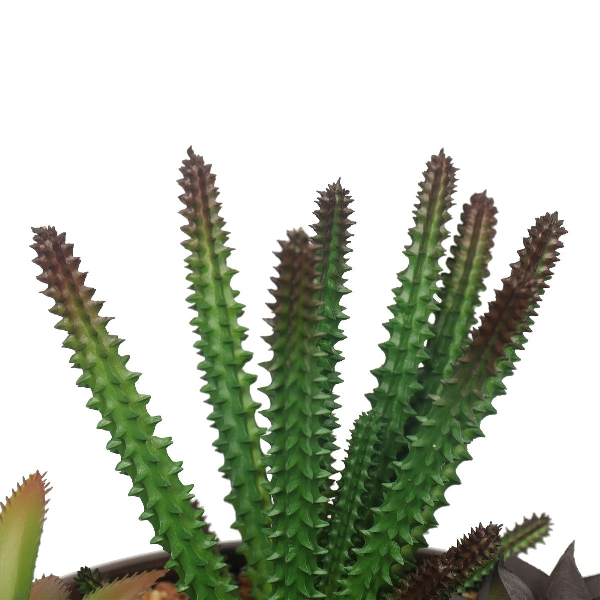 A beautifully arranged potted artificial succulents in a round decorative bowl, featuring lifelike plants and decorative pebbles.