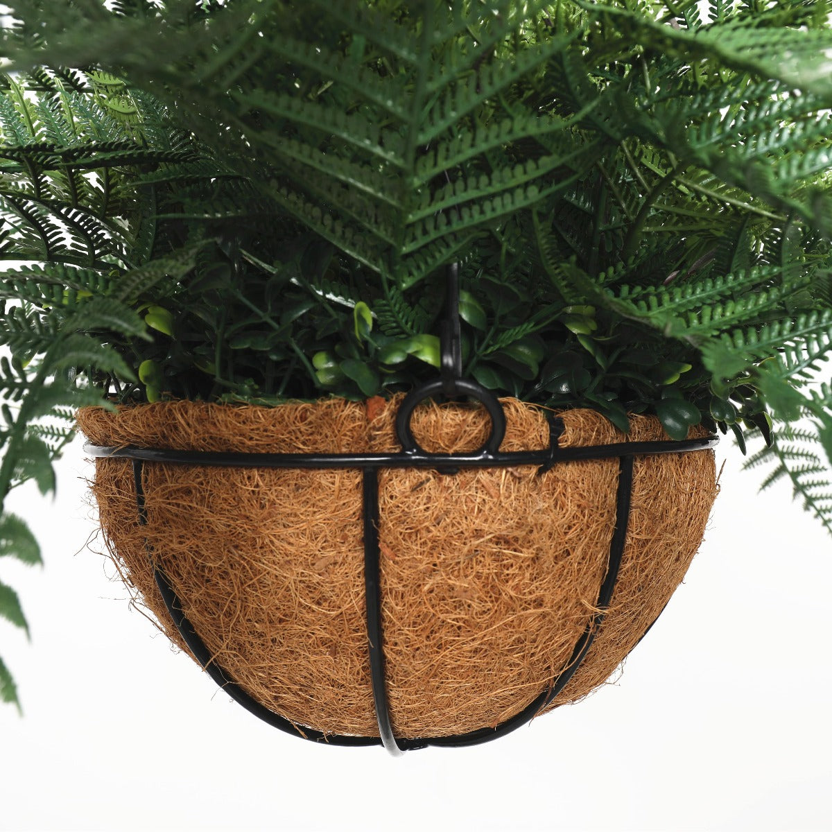 A vibrant Potted Fern Hanging Basket in fresh green color, showcasing lush foliage and a sturdy hanging chain, perfect for indoor and outdoor decor.