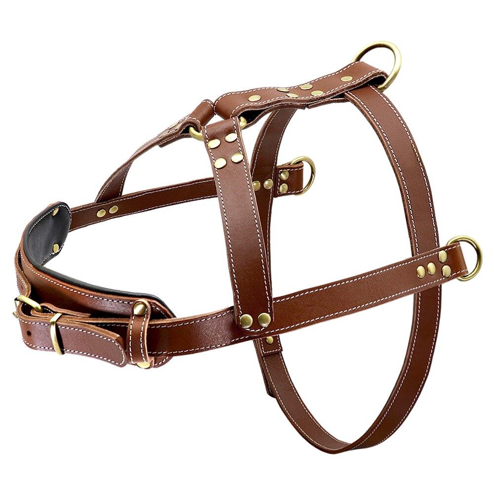 Real leather dog harness designed for large breeds, featuring adjustable straps and a strong construction for training and play.