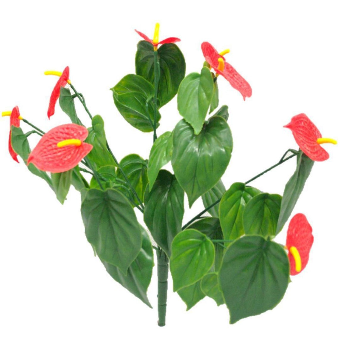 A vibrant Red Anthurium Stem measuring 35cm with lush green foliage and bright red flowers, ideal for vertical gardens and decorative arrangements.